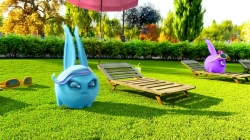 خرگوش های درخشان (خرگوش ها در ماه)